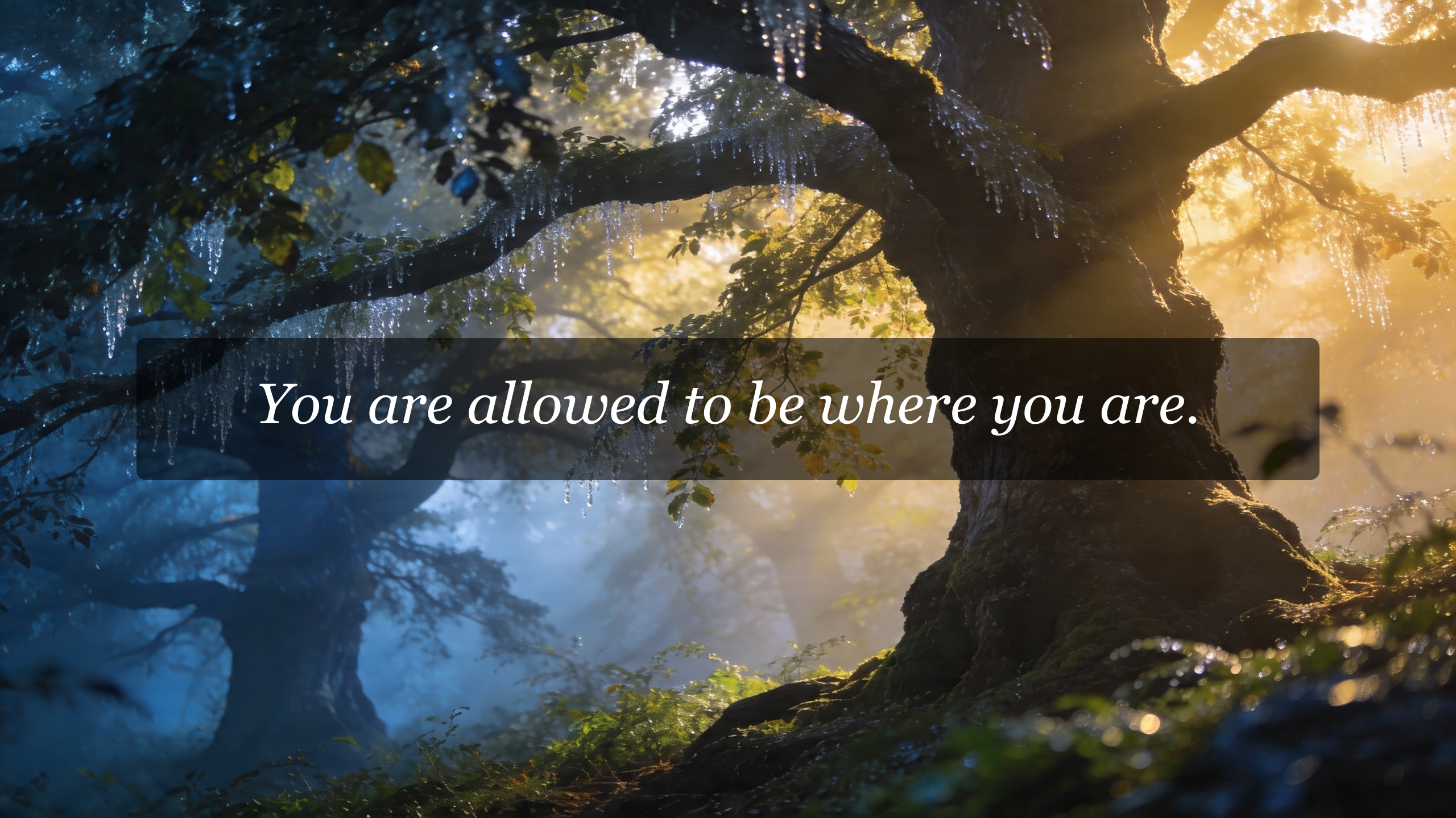 You are allowed to be where you are.