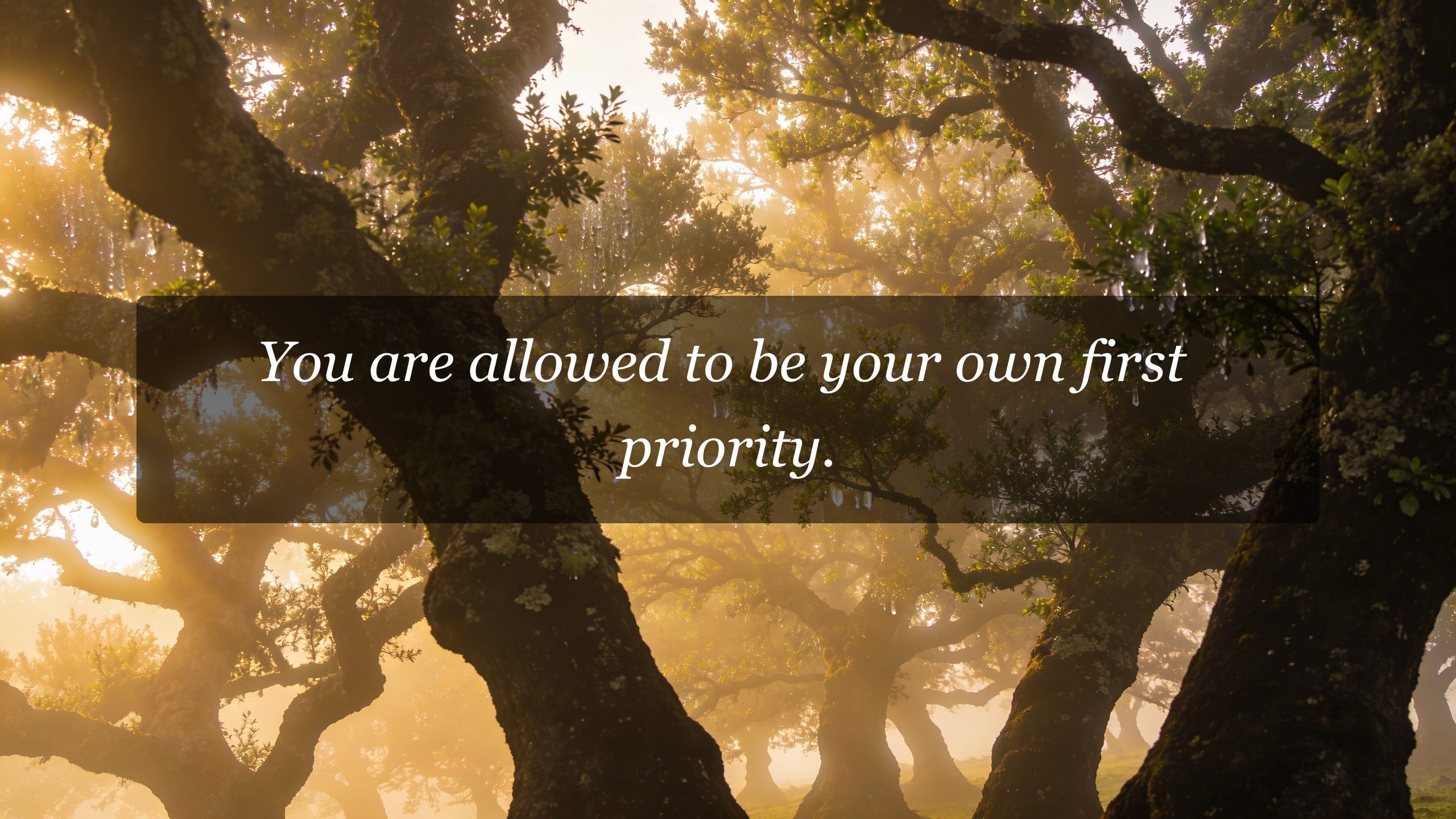 You are allowed to be your own first priority.
