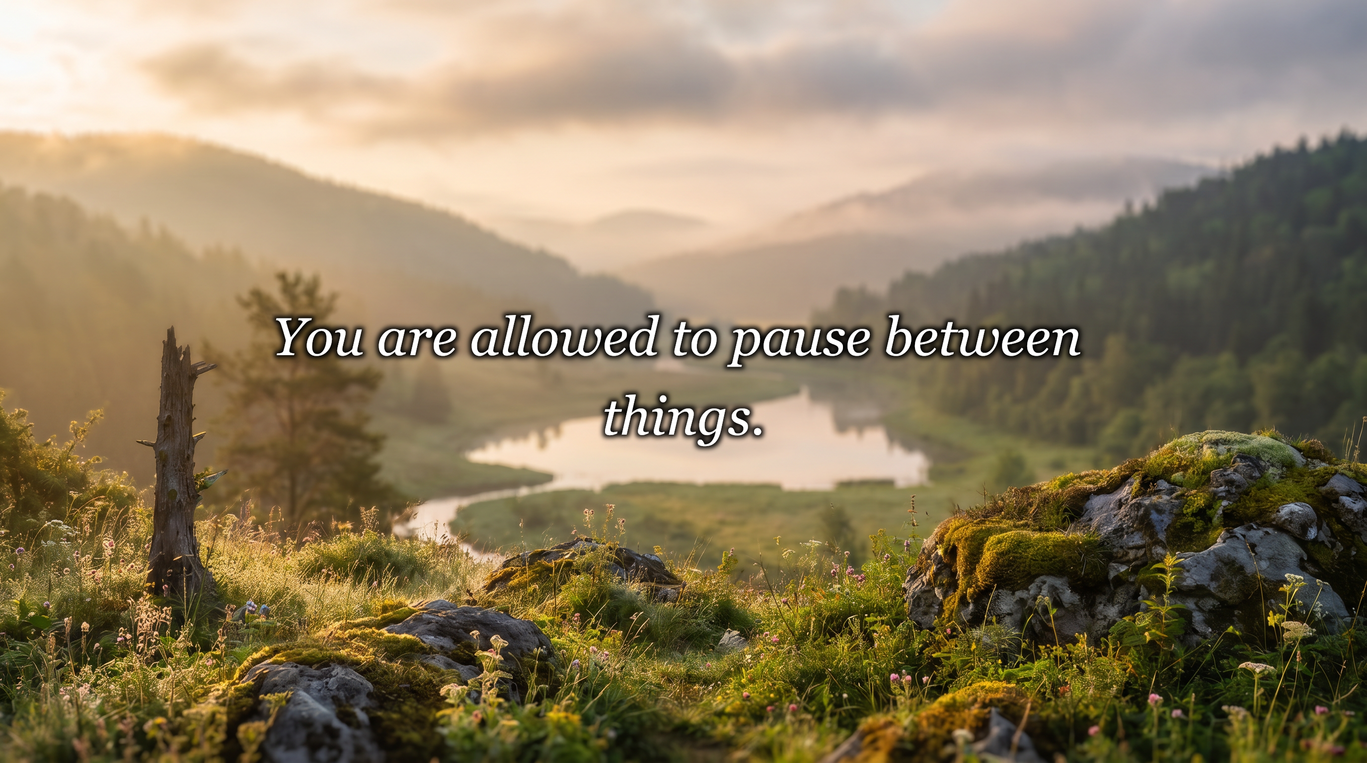 You are allowed to pause between things.