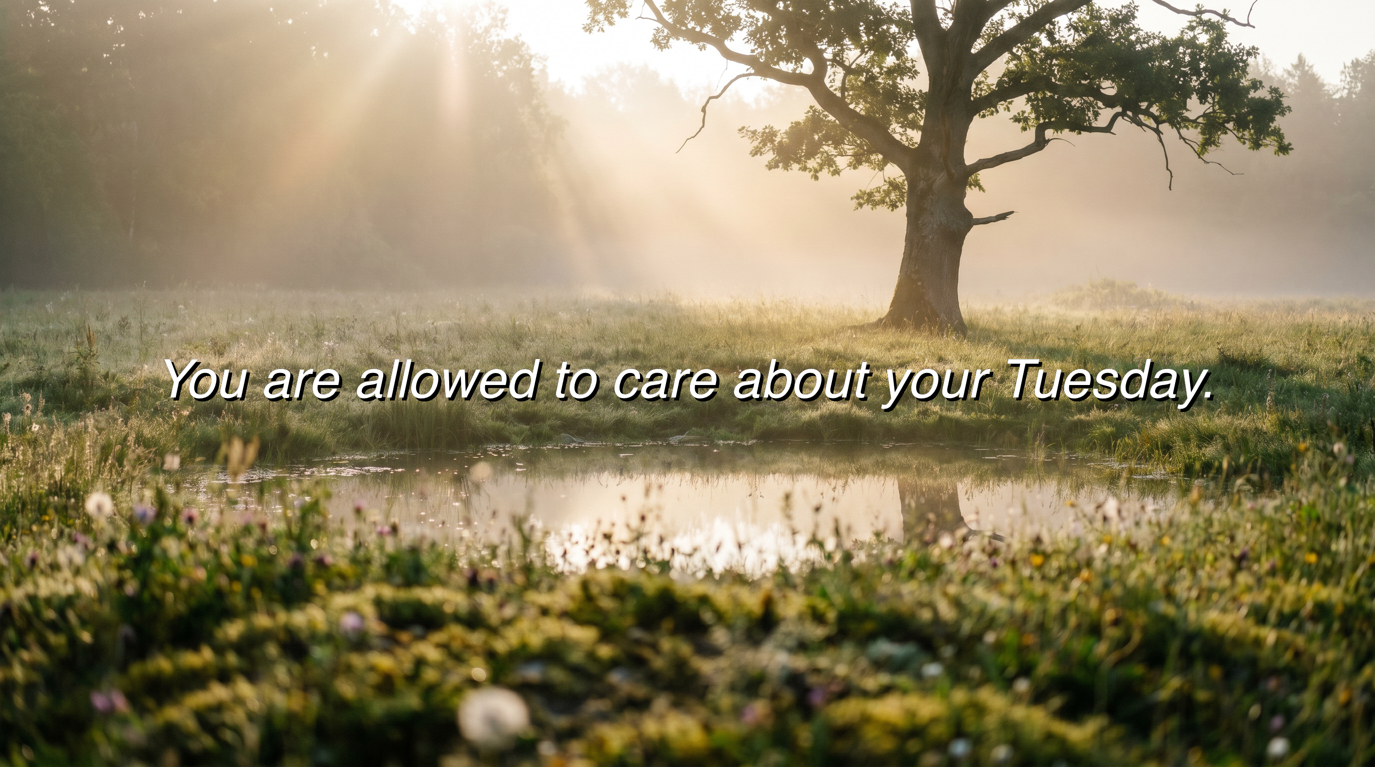 You are allowed to care about your Tuesday.