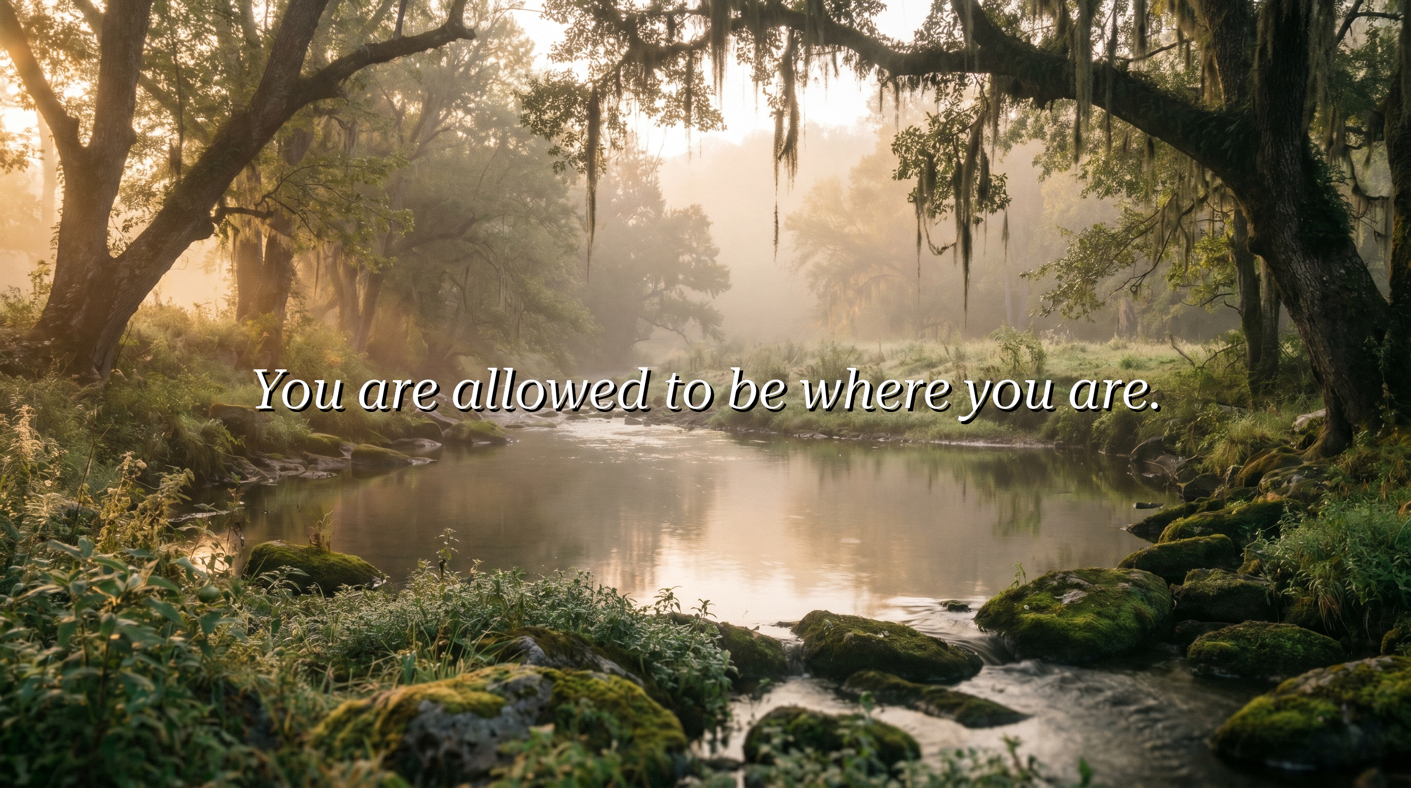 You are allowed to be where you are.