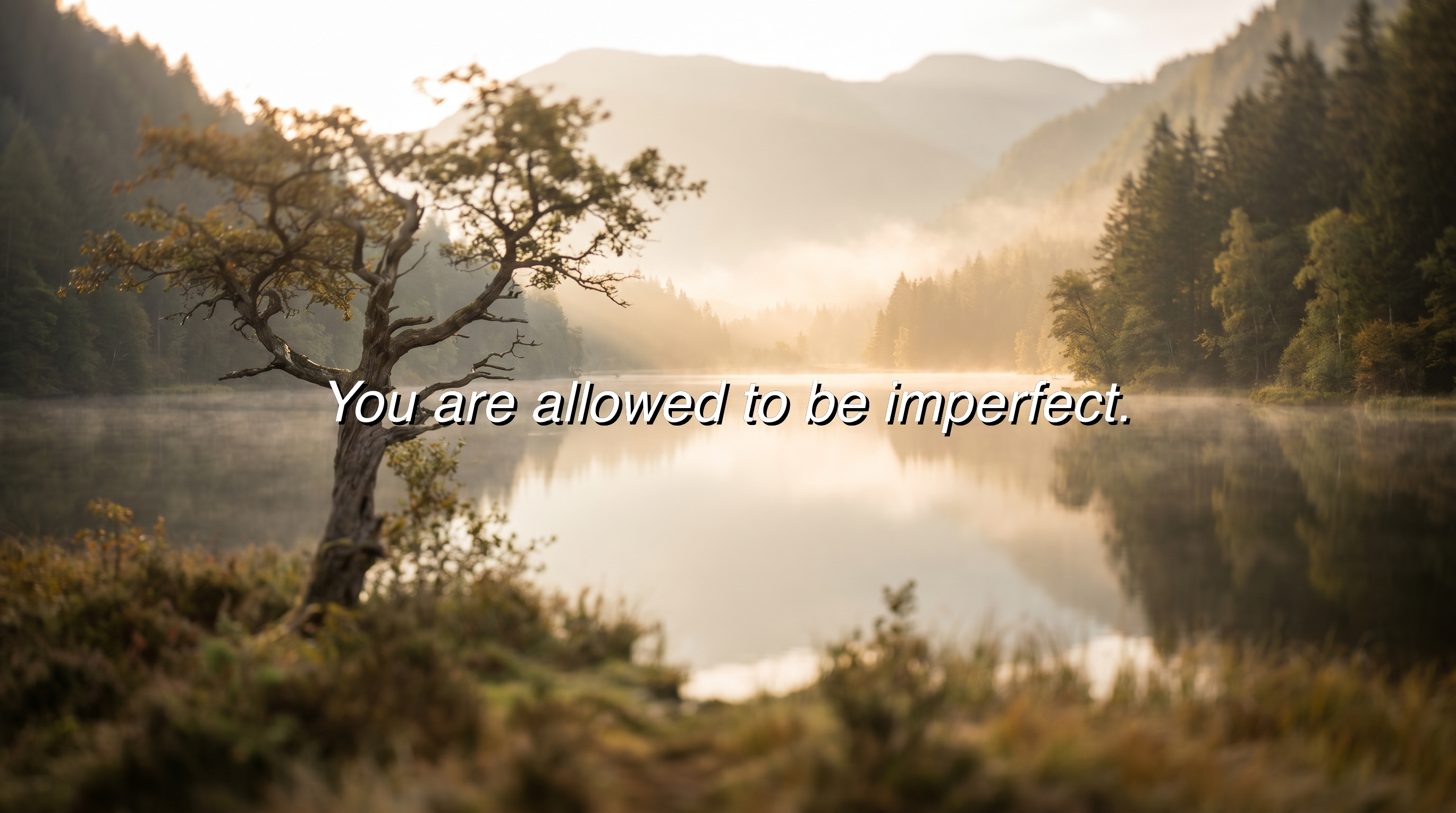 You are allowed to be imperfect.