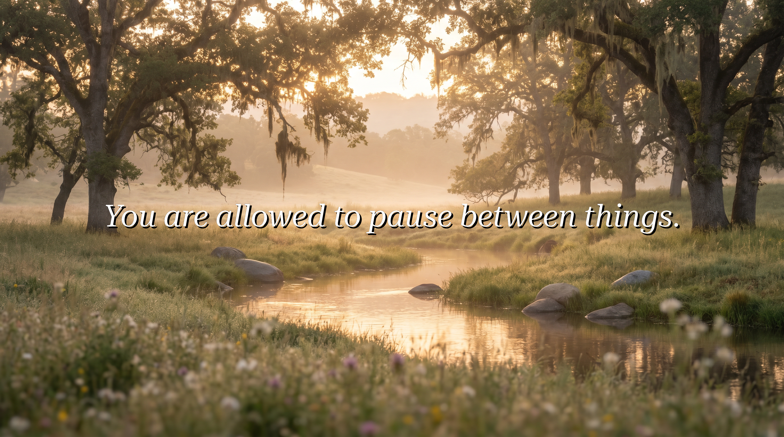 You are allowed to pause between things.