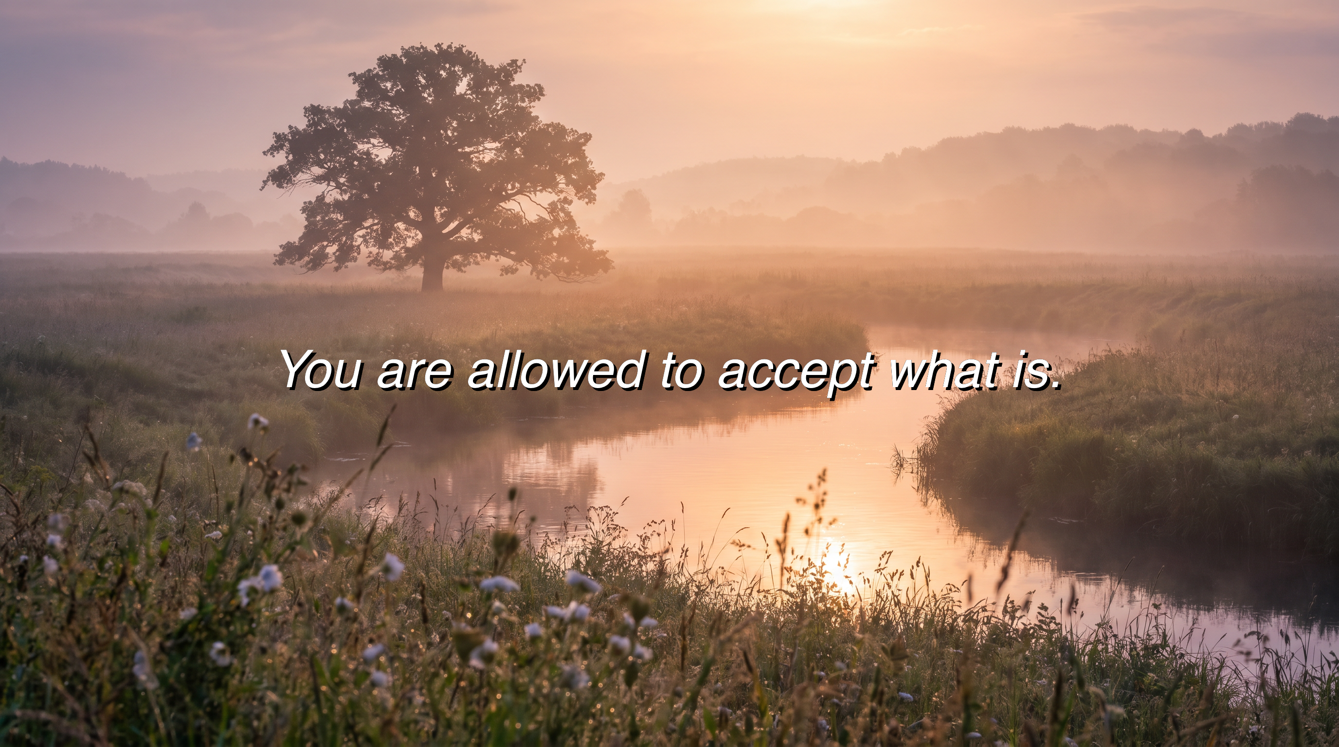 You are allowed to accept what is.