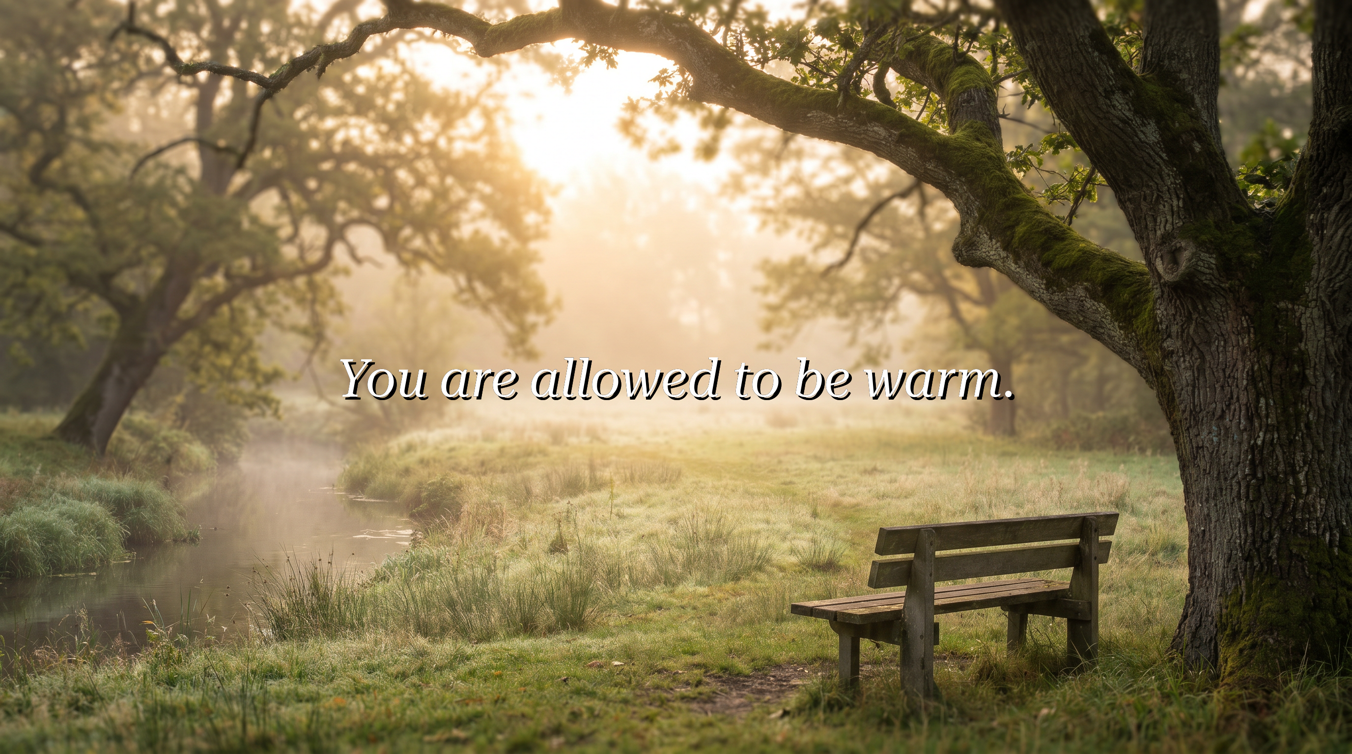 You are allowed to be warm.