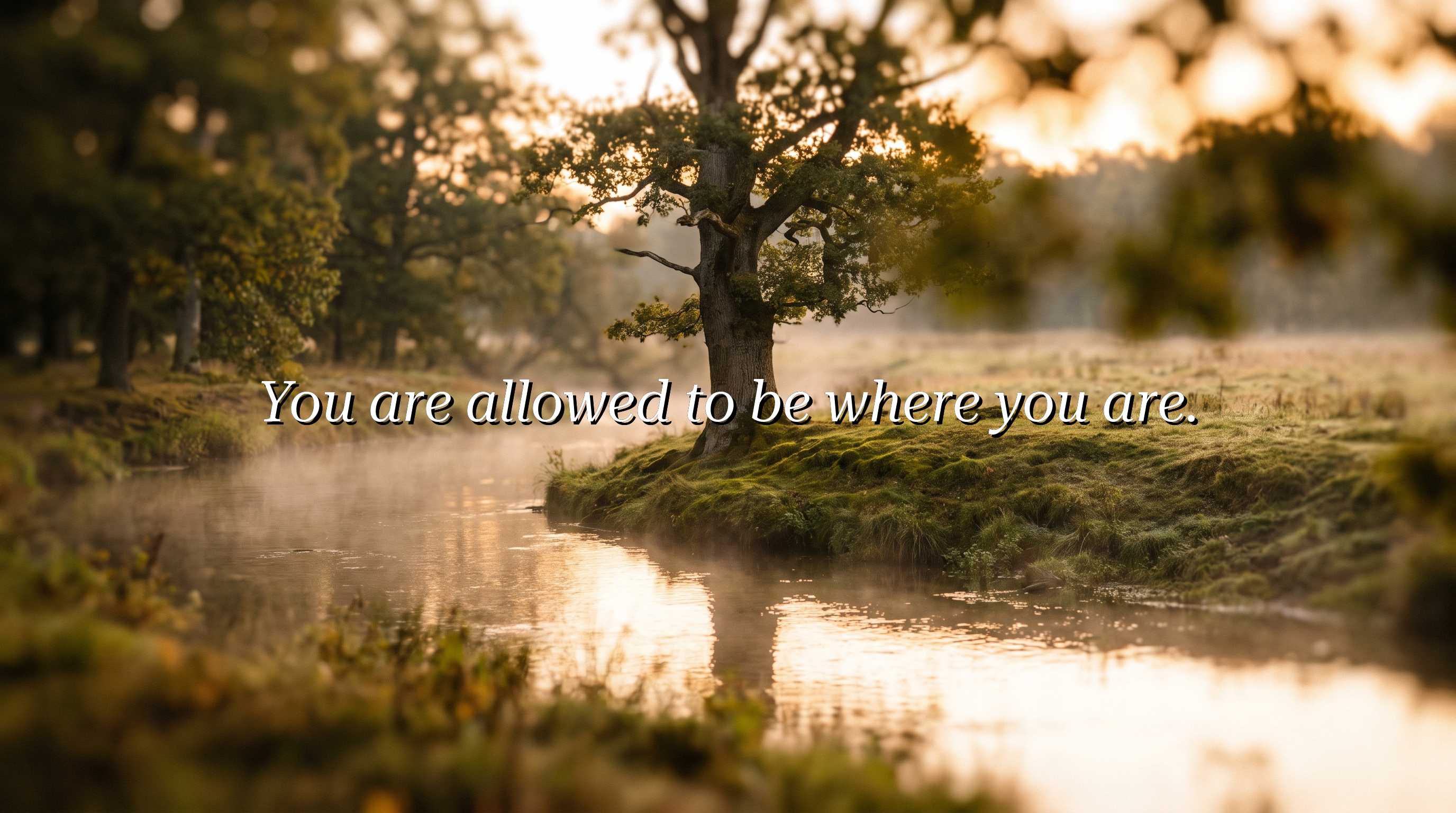 You are allowed to be where you are.