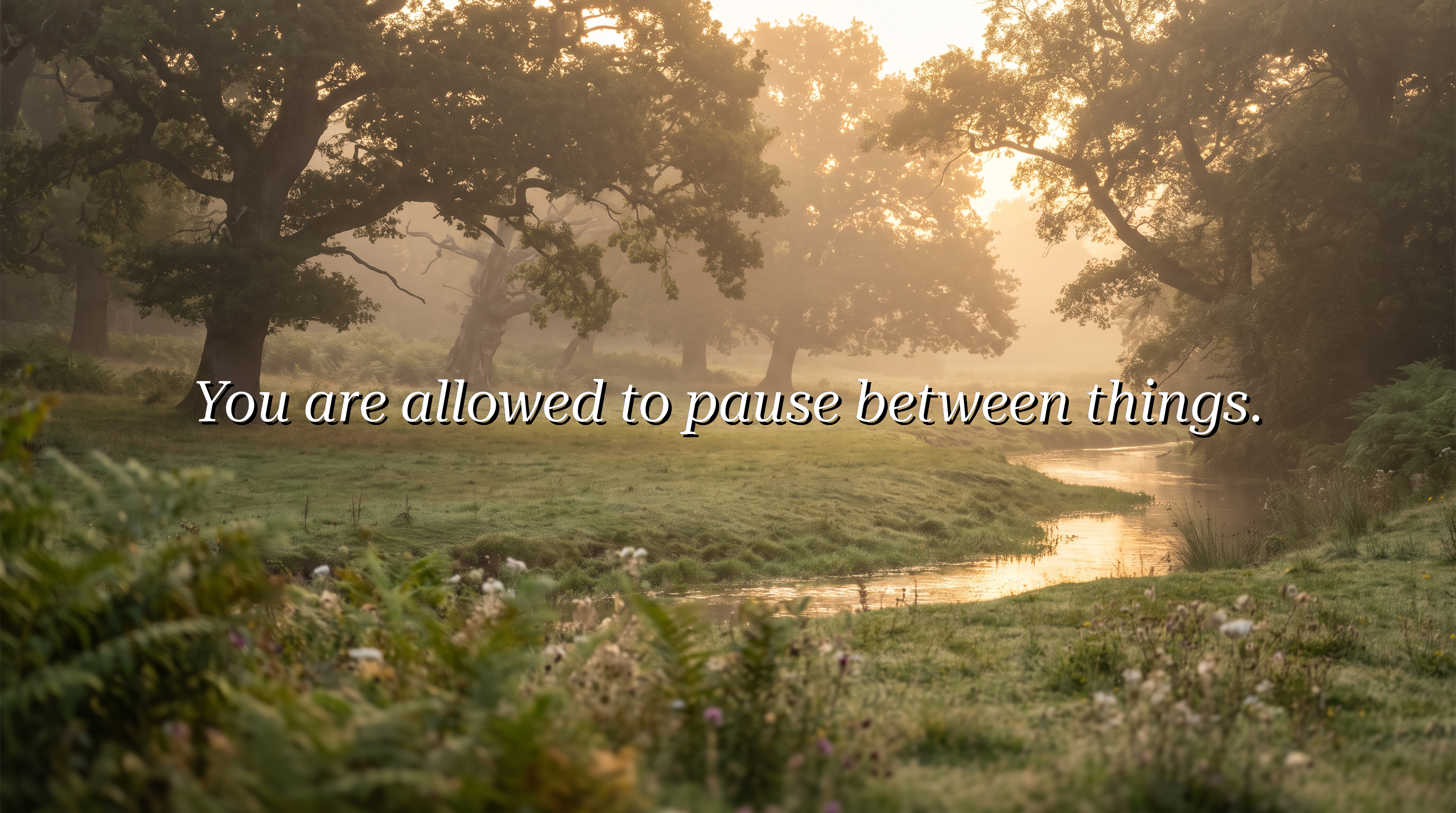 You are allowed to pause between things.