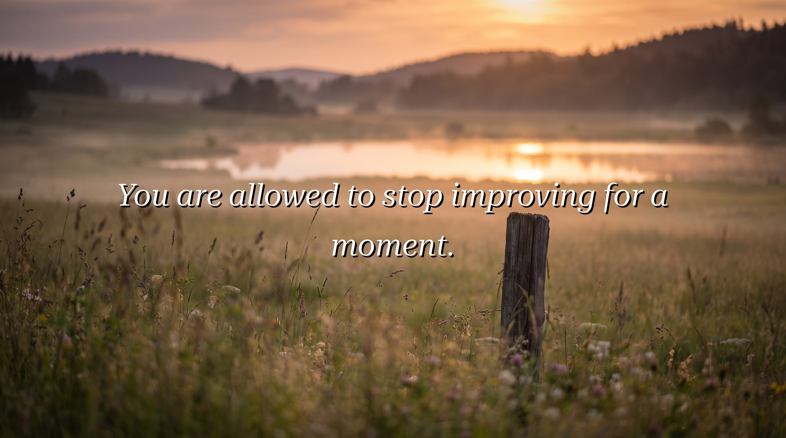 You are allowed to stop improving for a moment.
