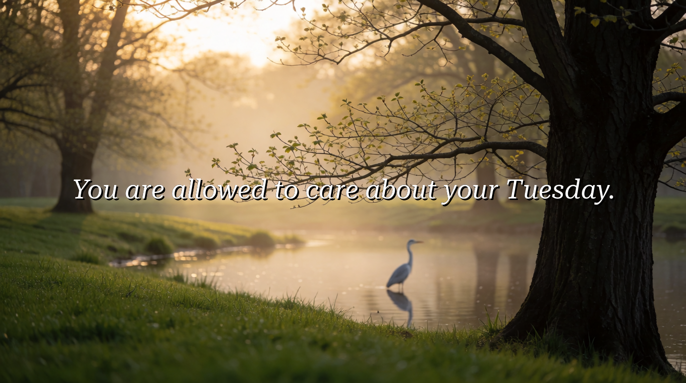 You are allowed to care about your Tuesday.